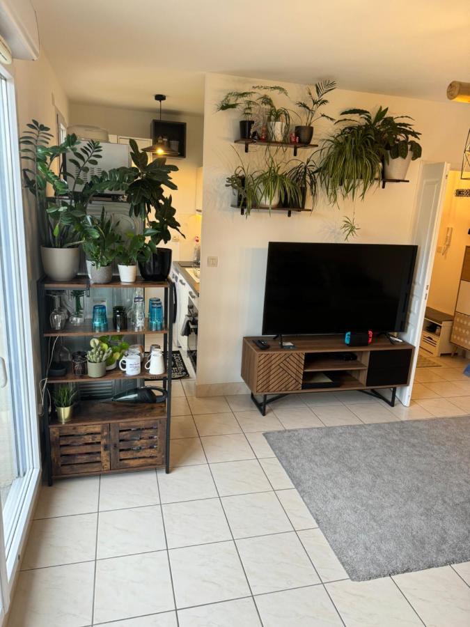 Appartement Centre Avec Balcon Parking Prive أورلييو المظهر الخارجي الصورة